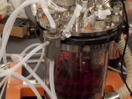 4 methods to control pH in bioreactors, ranked