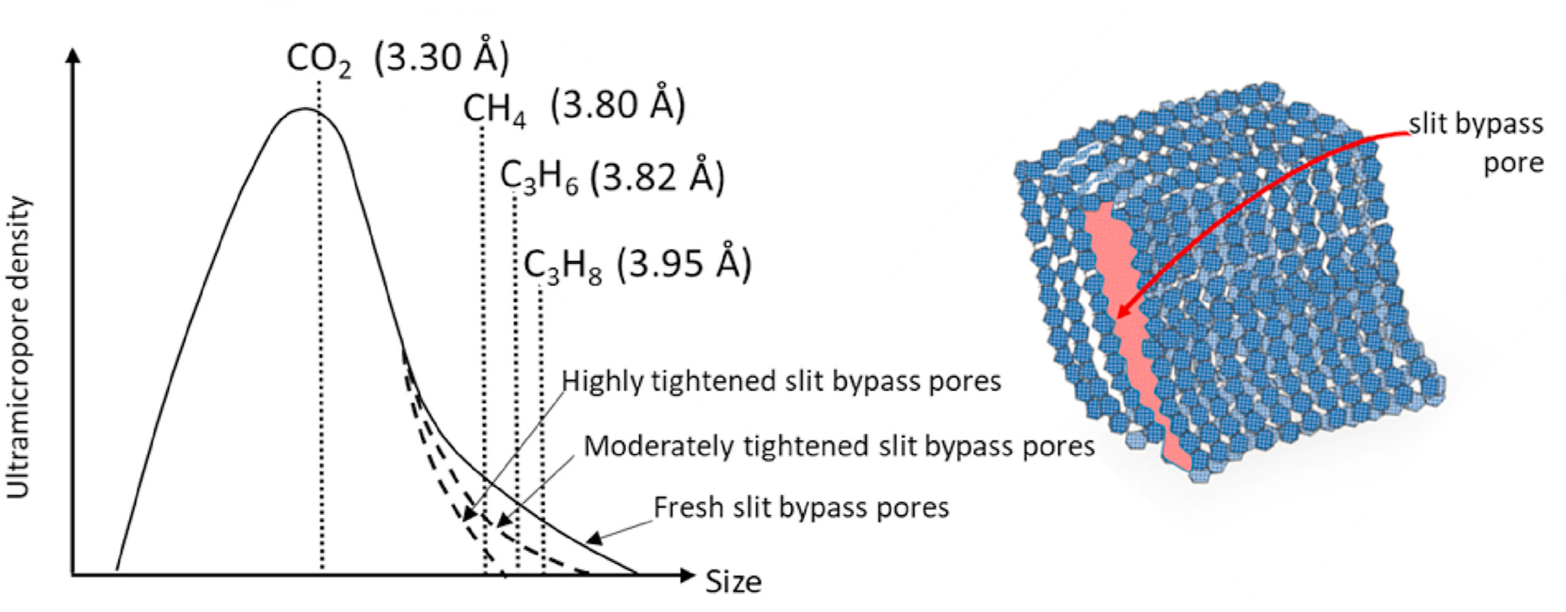 Graphical Abstract showing density vs. size of molecules and how that fits into the bypass pores