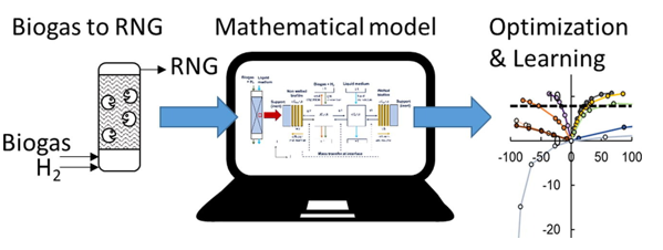 Experimental setup showing the optimization of the model