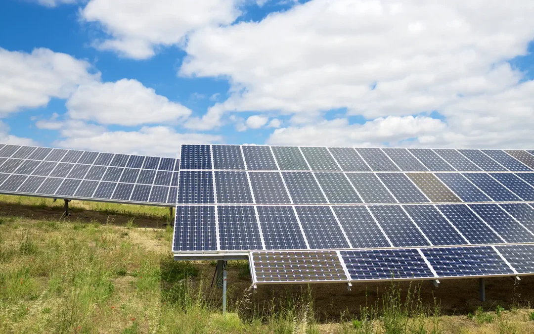 Photoelektrokatalytische Forschung zur Wasserspaltung