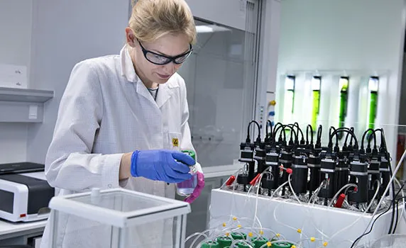 A chemist examining biological samples in a laboratory