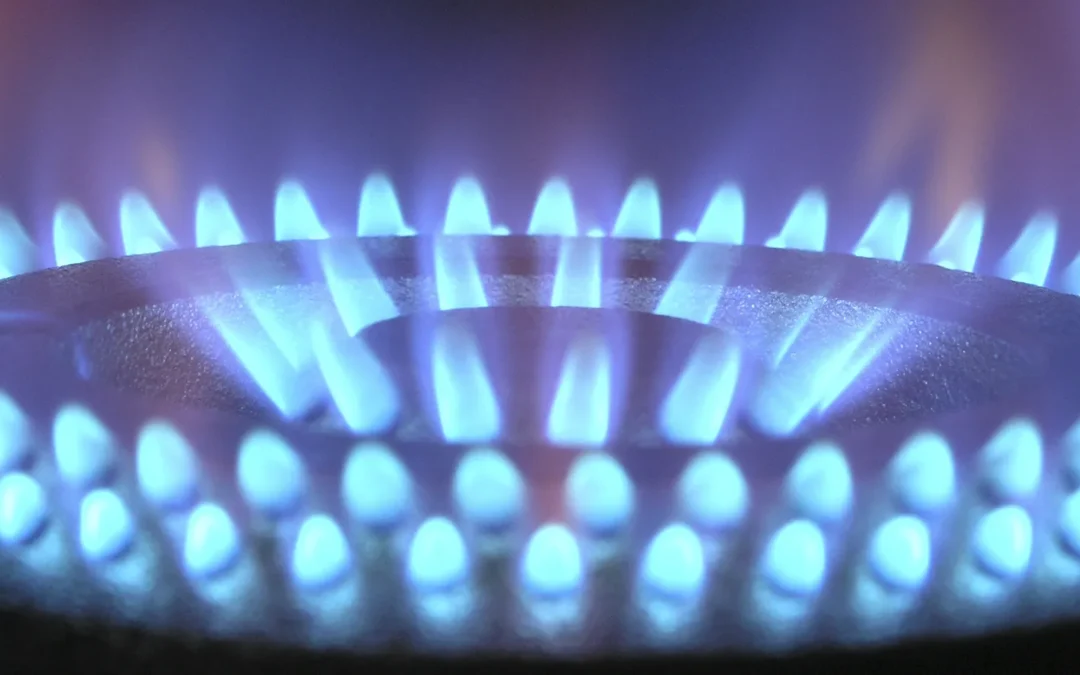 Brennerprüfung mit einem Präzisionsgasmischer