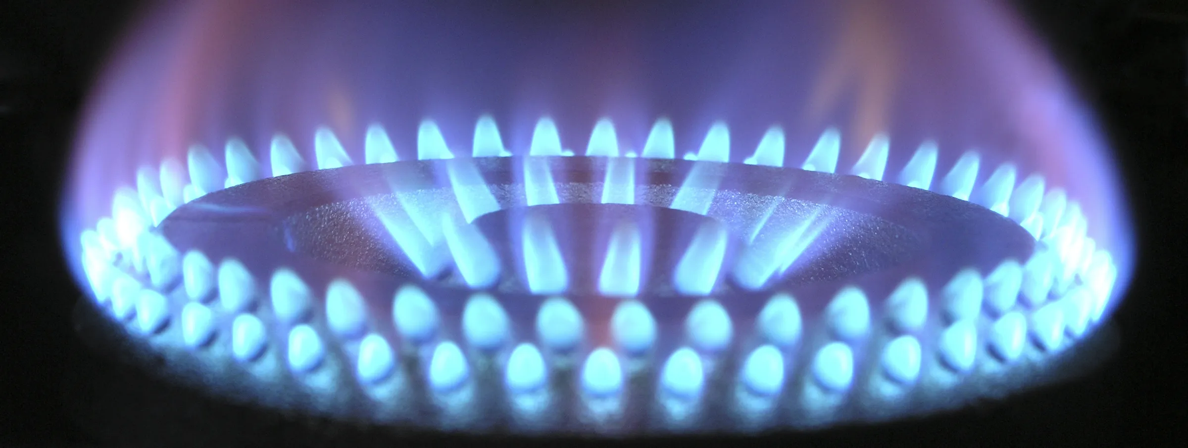 blue gas burner